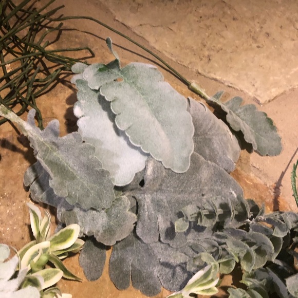 Ling’s Moment Various Greenery - Picture 3 of 9